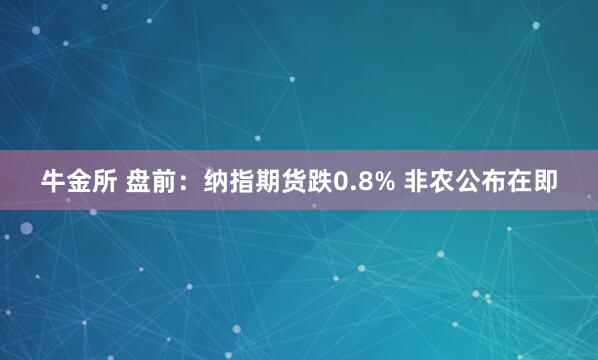 牛金所 盘前：纳指期货跌0.8% 非农公布在即