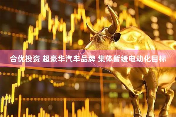 合优投资 超豪华汽车品牌 集体暂缓电动化目标