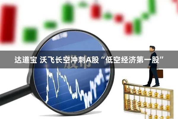 达道宝 沃飞长空冲刺A股“低空经济第一股”