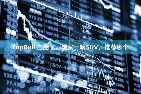 TopBull 二胎了，想买一辆SUV，推荐哪个