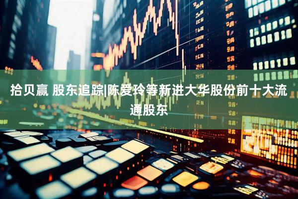 拾贝赢 股东追踪|陈爱玲等新进大华股份前十大流通股东