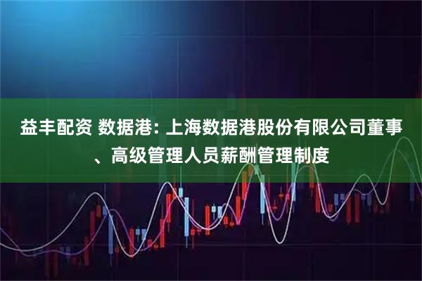 益丰配资 数据港: 上海数据港股份有限公司董事、高级管理人员薪酬管理制度