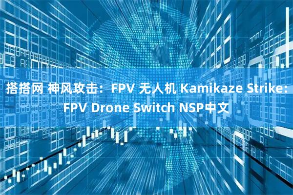 搭搭网 神风攻击：FPV 无人机 Kamikaze Strike:FPV Drone Switch NSP中文