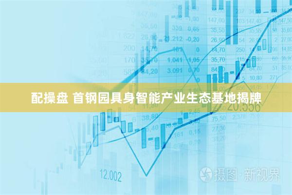 配操盘 首钢园具身智能产业生态基地揭牌