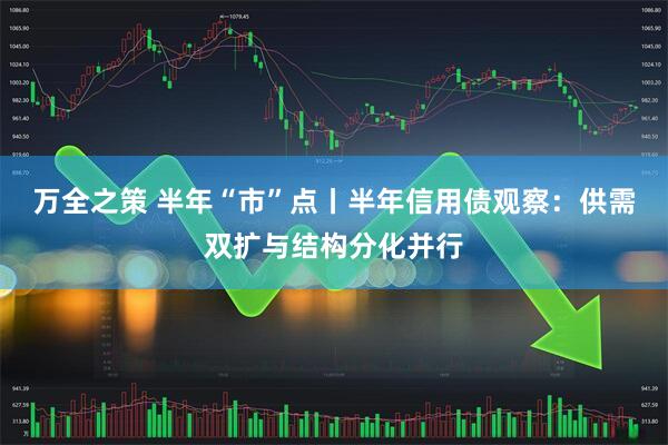 万全之策 半年“市”点丨半年信用债观察：供需双扩与结构分化并行