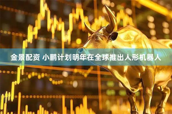 金景配资 小鹏计划明年在全球推出人形机器人