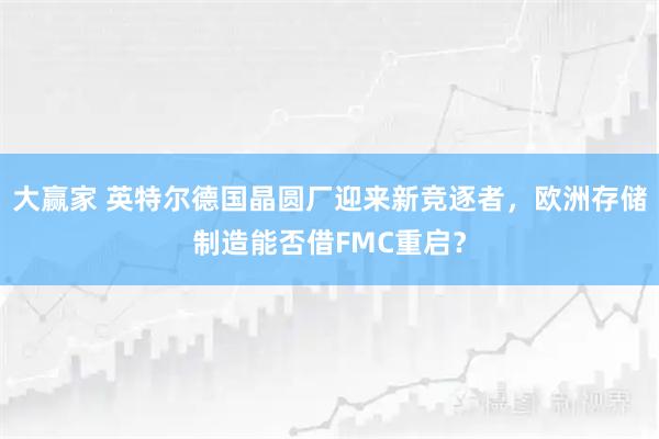 大赢家 英特尔德国晶圆厂迎来新竞逐者，欧洲存储制造能否借FMC重启？