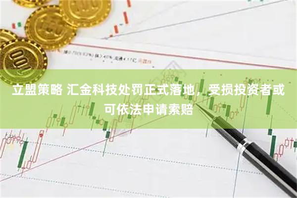 立盟策略 汇金科技处罚正式落地，受损投资者或可依法申请索赔